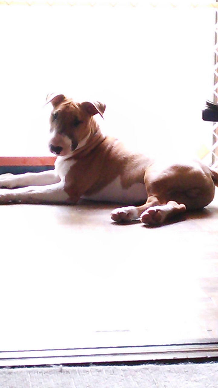 c0073152_2371351.jpg