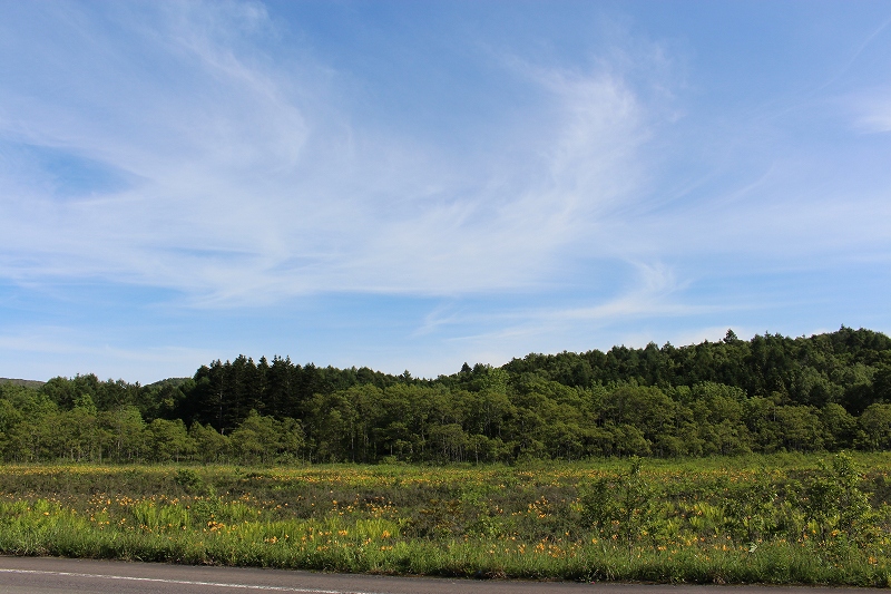b0250154_89359.jpg