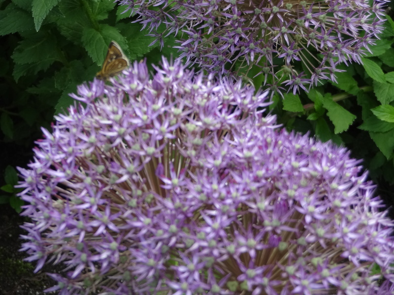 f0198556_2344435.jpg