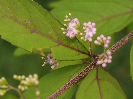 b0246758_11304798.jpg