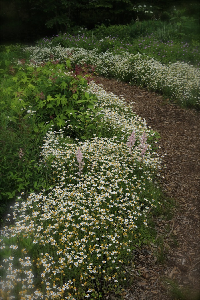 b0168859_17545277.jpg