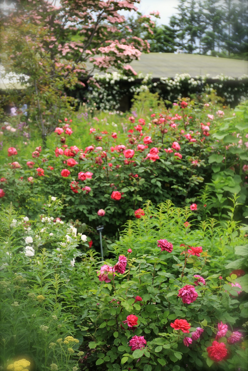 b0168859_1811520.jpg