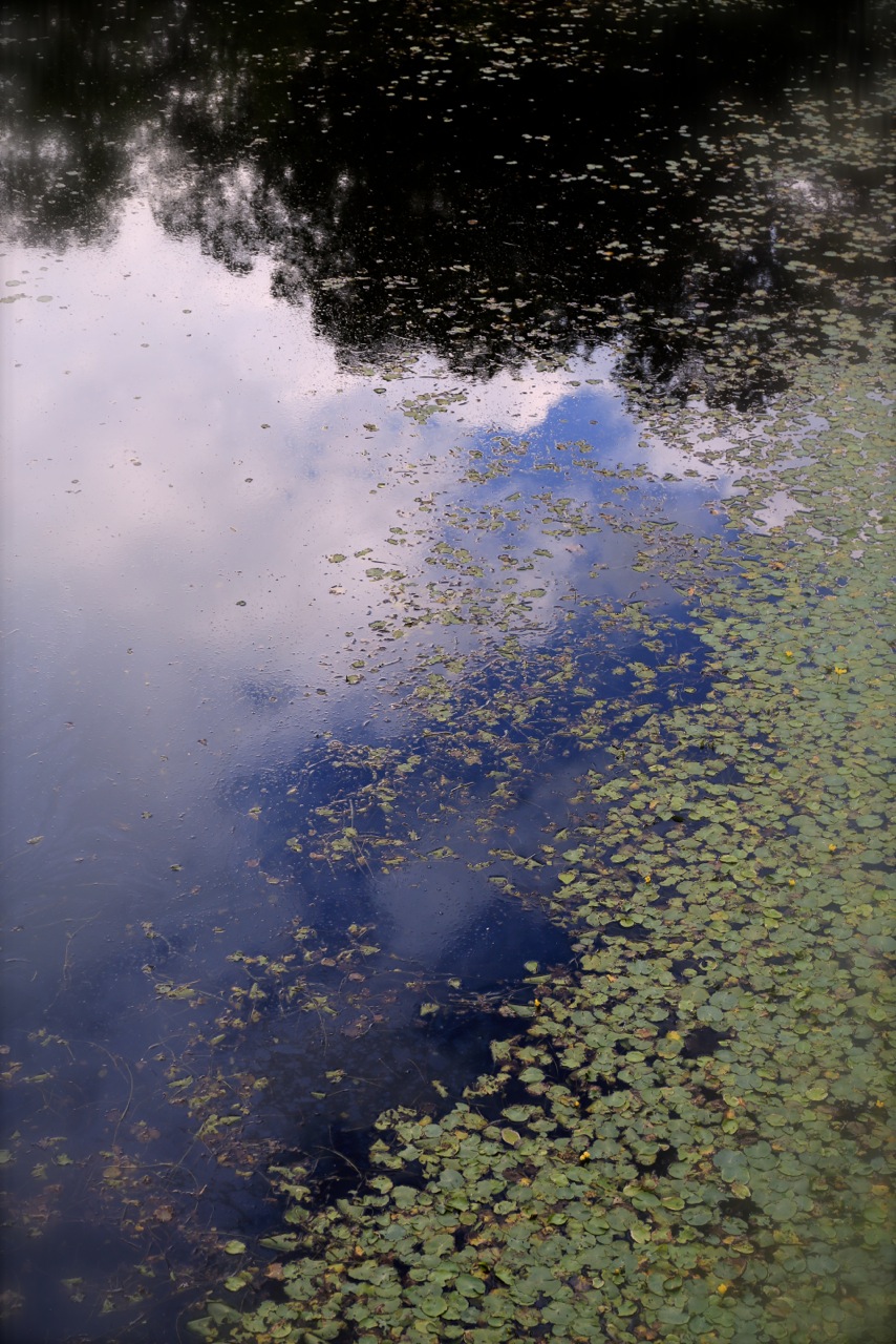 b0168859_738265.jpg