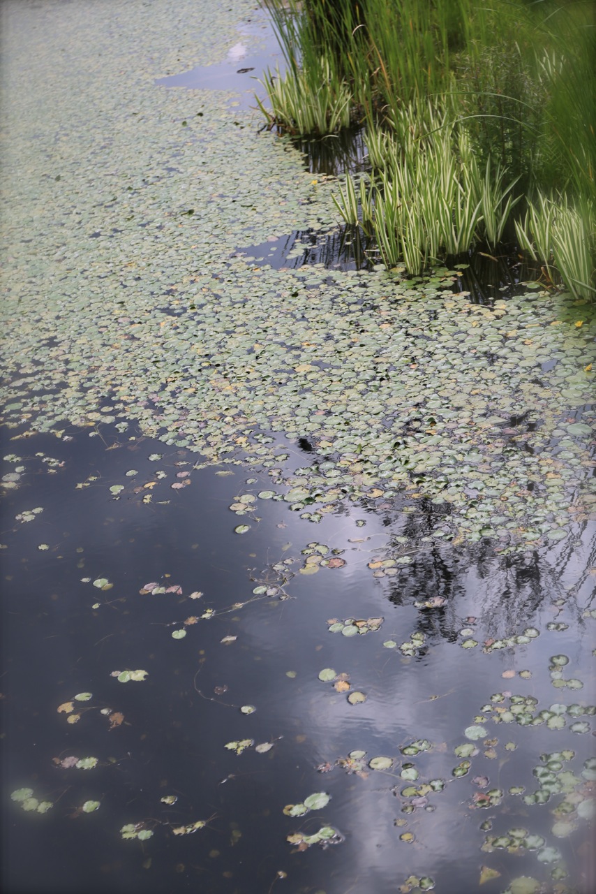 b0168859_74347.jpg