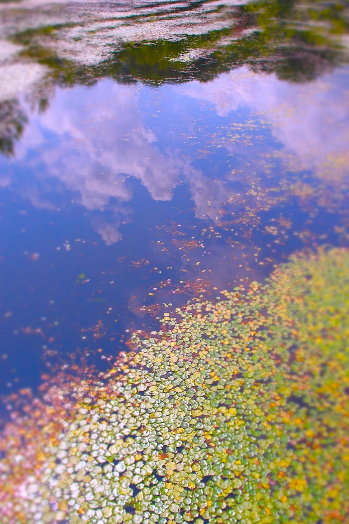 b0168859_74604.jpg