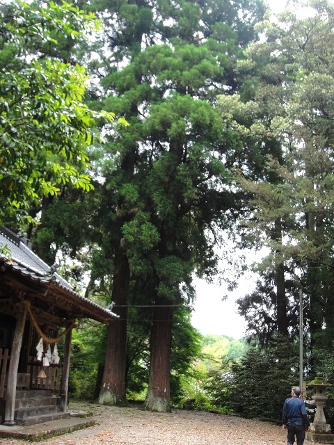c0119160_2049328.jpg