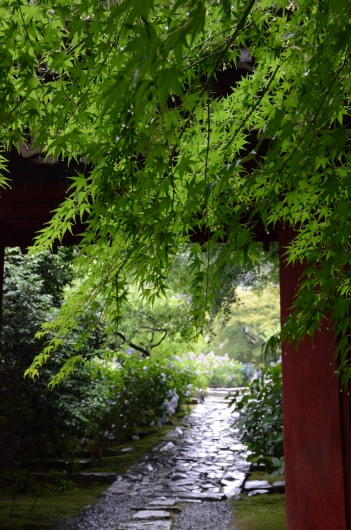 f0297861_19124280.jpg