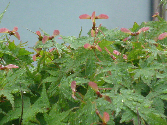 e0278968_22203486.jpg