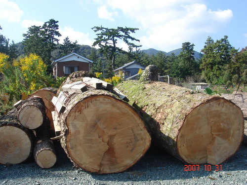d0007071_61125.jpg