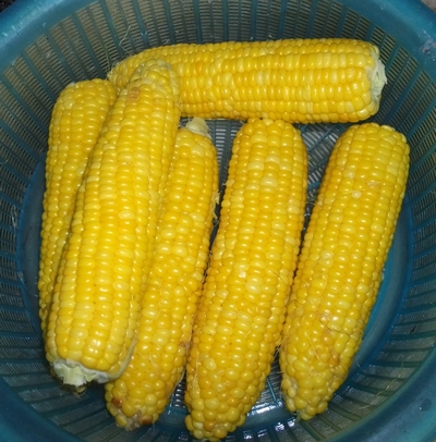 f0018078_1742794.jpg