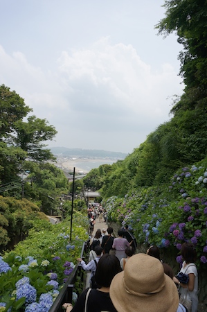 e0194987_1553577.jpg