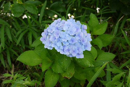 f0222692_14295812.jpg