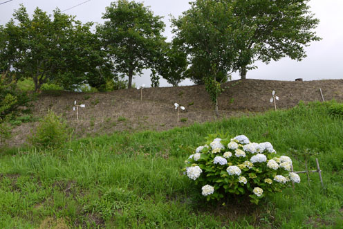 f0222692_14445967.jpg