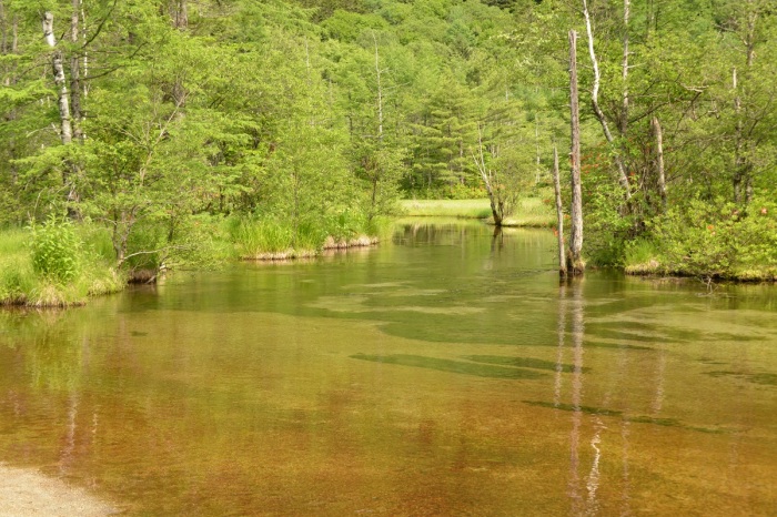 f0268294_23113087.jpg