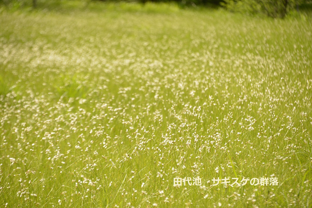 f0268294_23152501.jpg