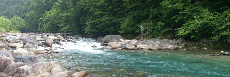 f0266202_01758.jpg