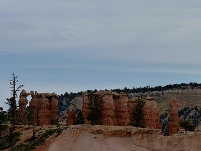 a0310405_05061591.jpg