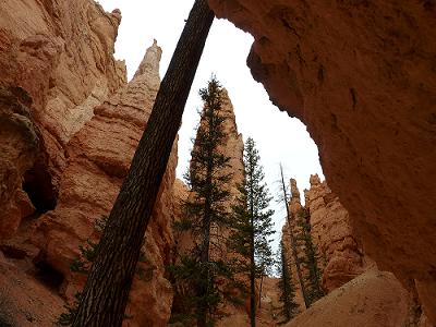 a0310405_05125015.jpg