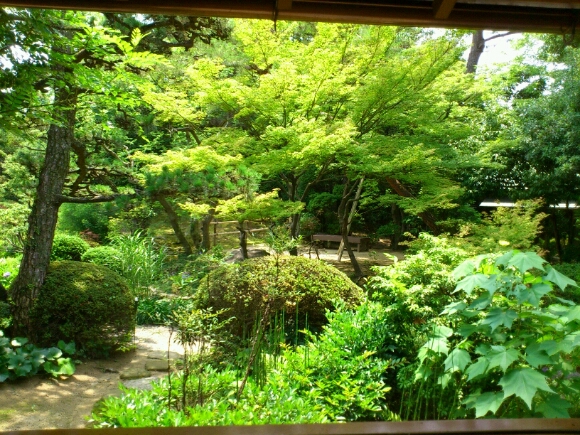 b0009106_17262910.jpg