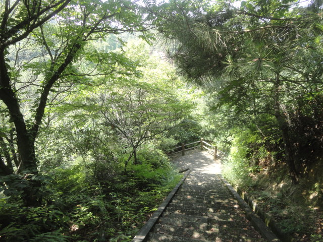 f0231709_17124728.jpg