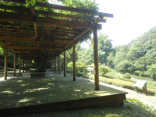 f0231709_17132139.jpg