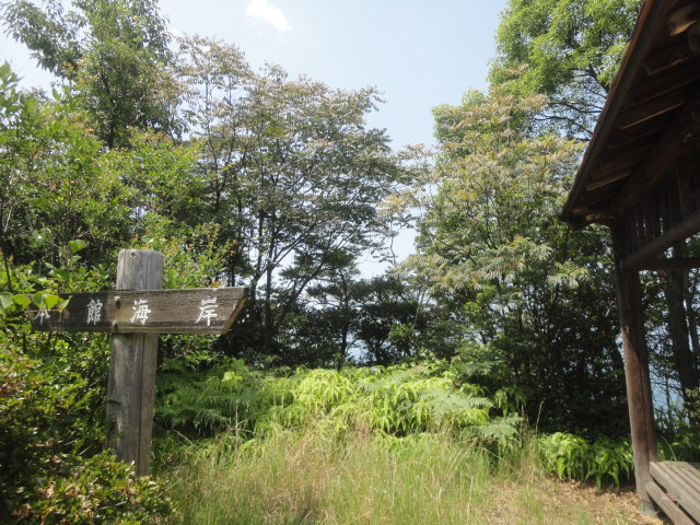 f0231709_1733569.jpg