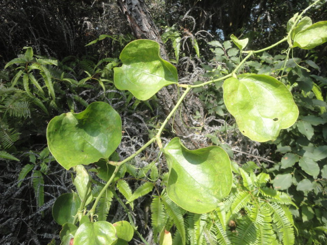 f0231709_174750.jpg