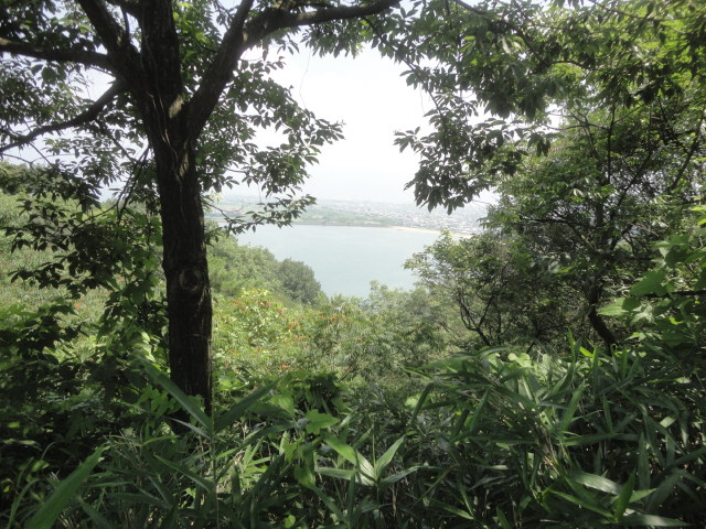 f0231709_1763925.jpg