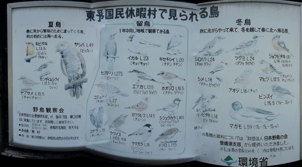 f0231709_1781681.jpg