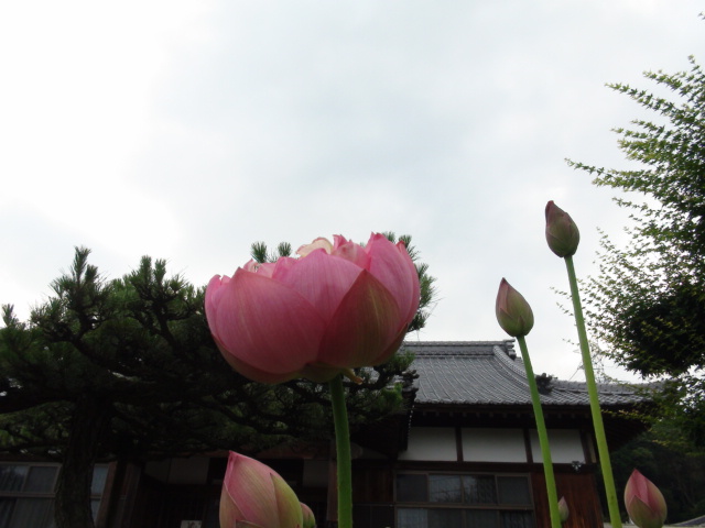 f0231709_19263598.jpg