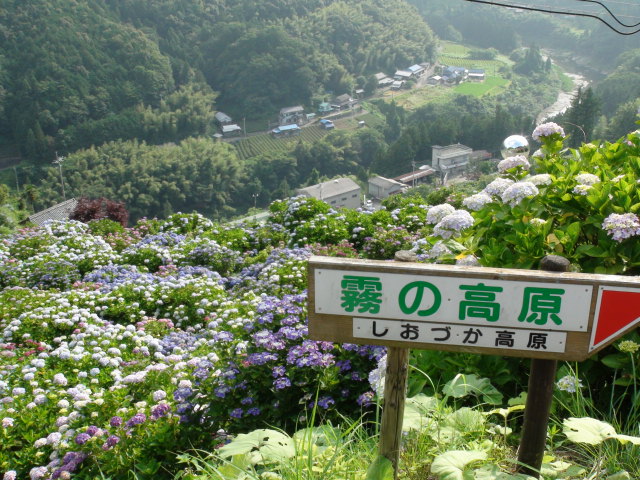 f0231709_22154344.jpg