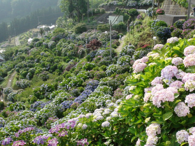 f0231709_22162288.jpg