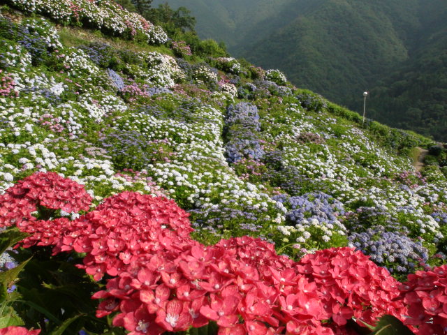 f0231709_22175260.jpg