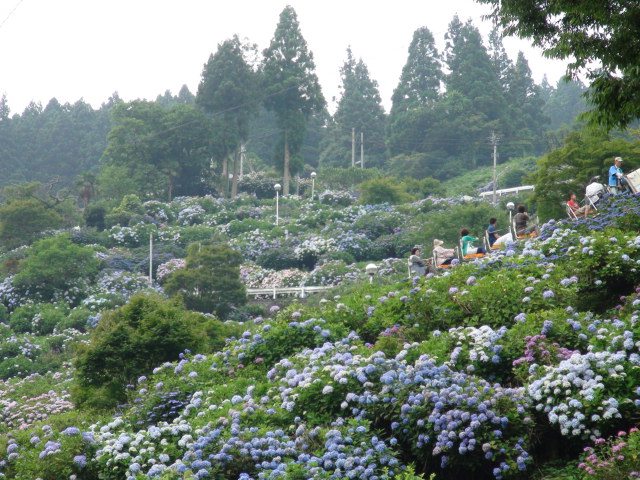 f0231709_22252698.jpg