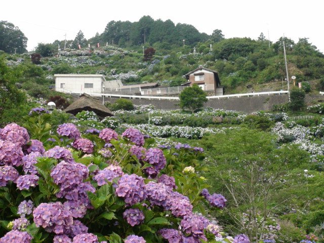 f0231709_22265994.jpg
