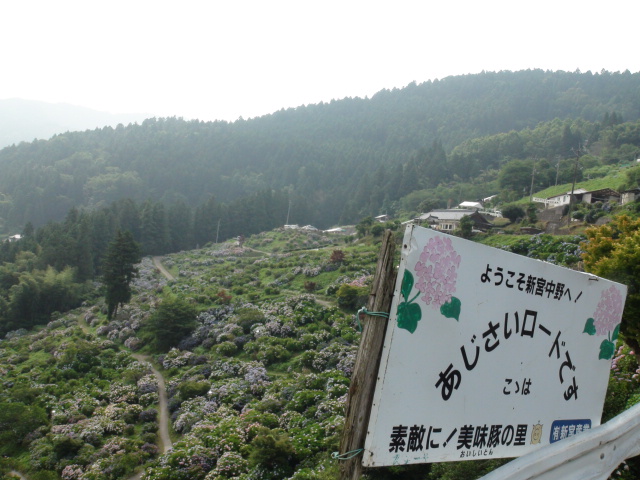 f0231709_22274898.jpg
