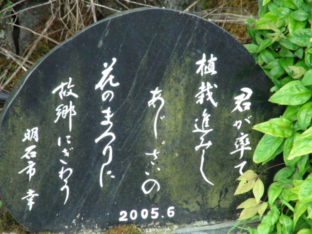 f0231709_22295444.jpg