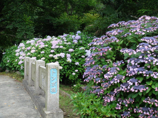 f0231709_23495376.jpg