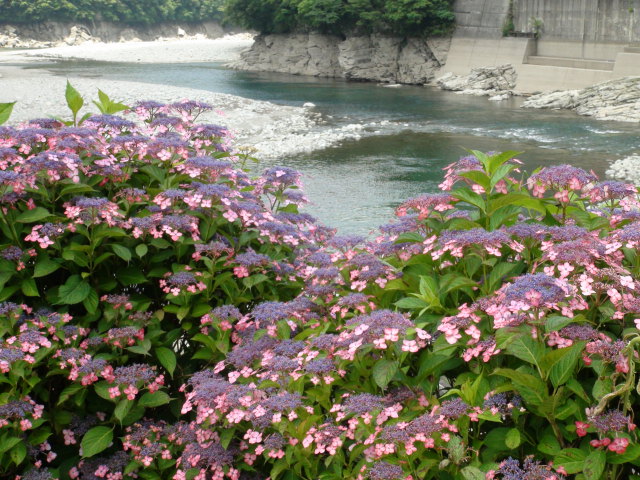 f0231709_2351116.jpg