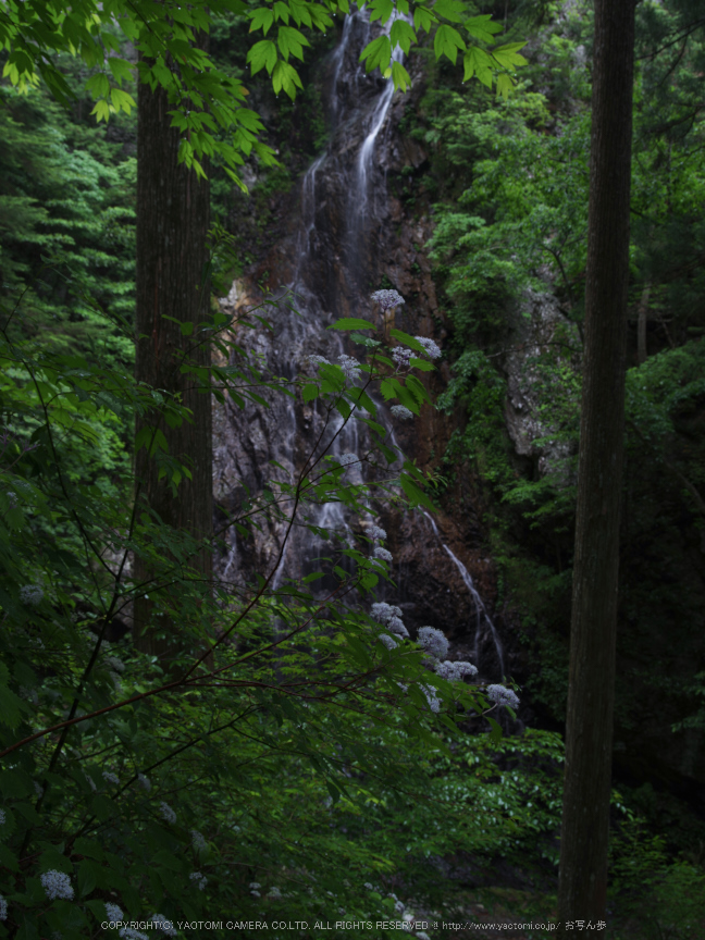 f0221510_13192490.jpg