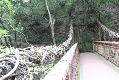 f0329010_2325321.jpg