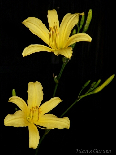 b0099813_044318.jpg
