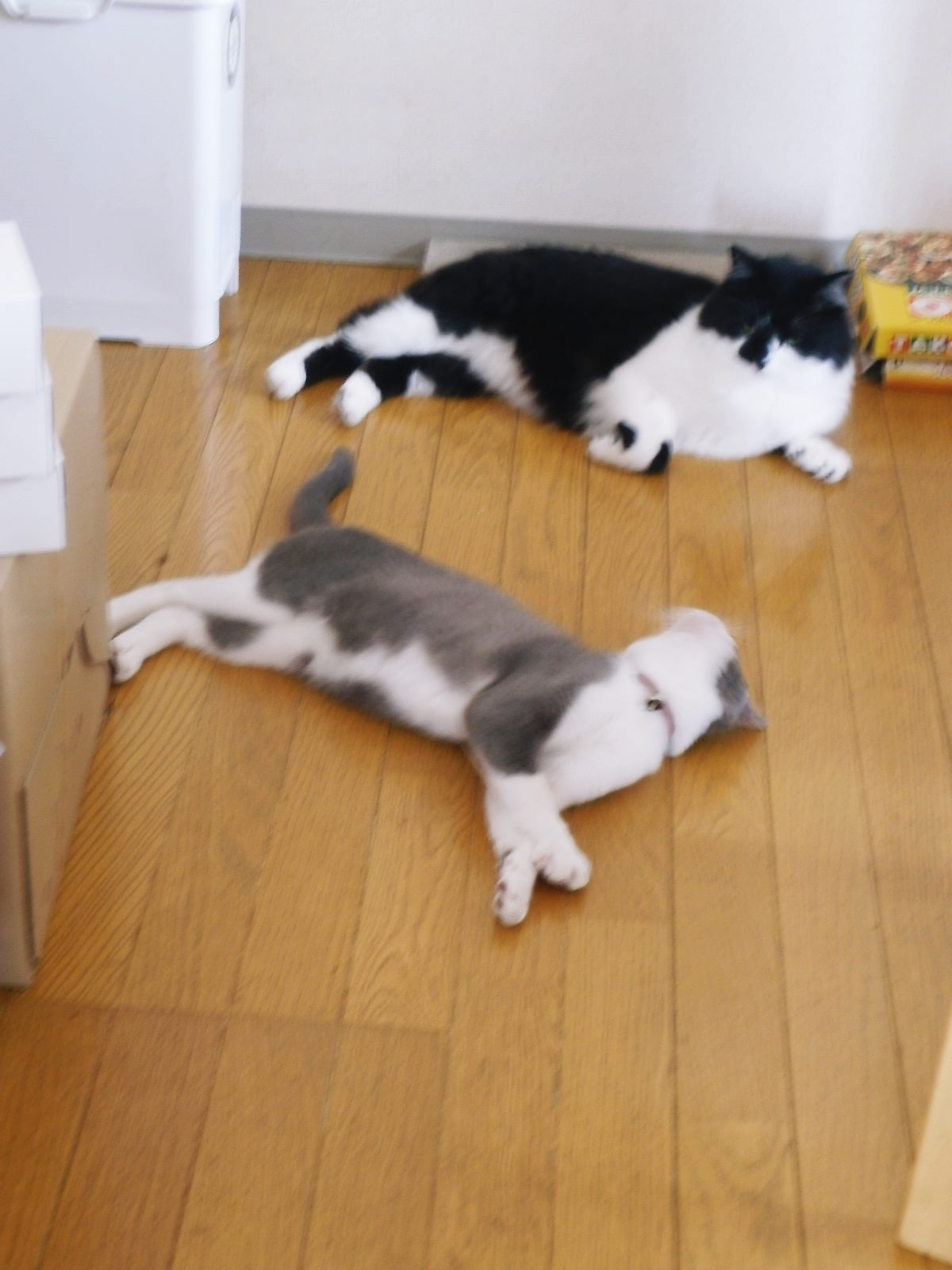 c0118715_13203615.jpg