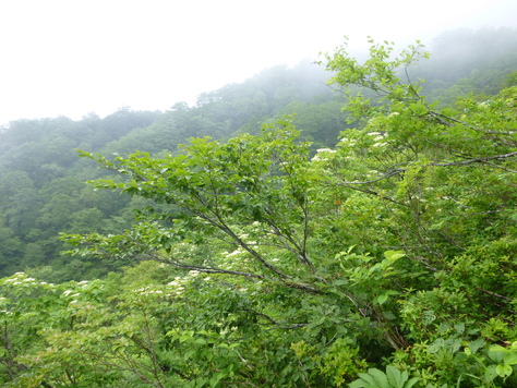 d0170615_23242930.jpg