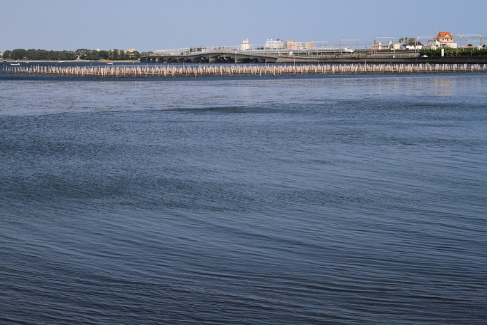 f0211615_2052142.jpg