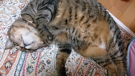 f0220919_138383.jpg
