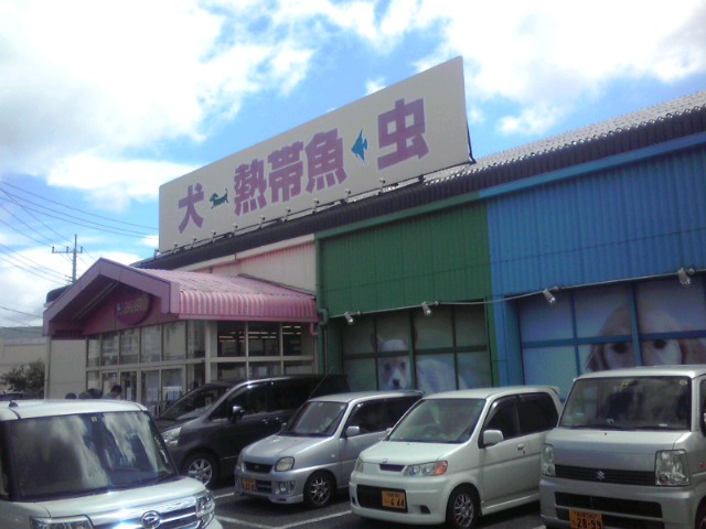 a0291521_11173056.jpg