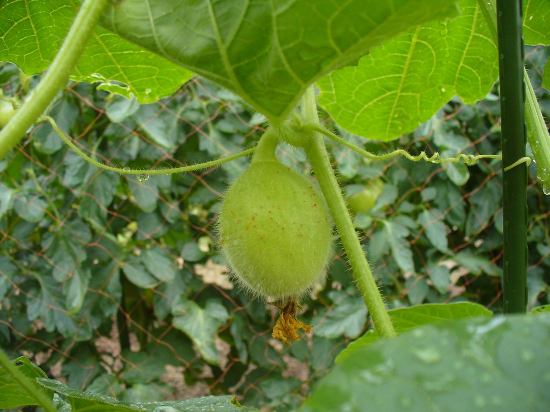 f0346527_22271380.jpg