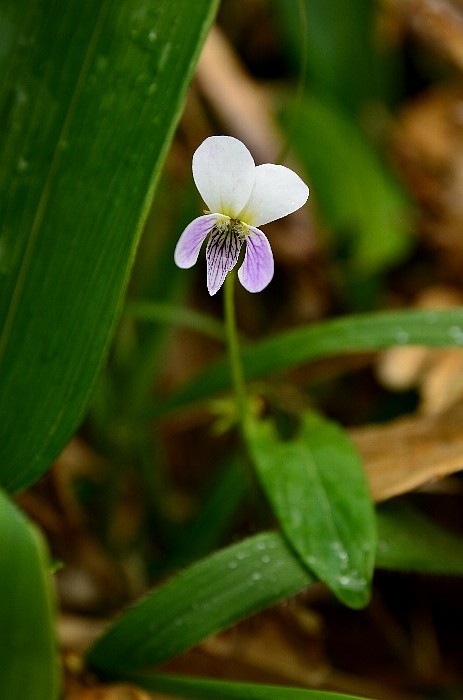 b0236334_2035115.jpg