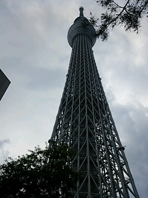 a0167335_911834.jpg